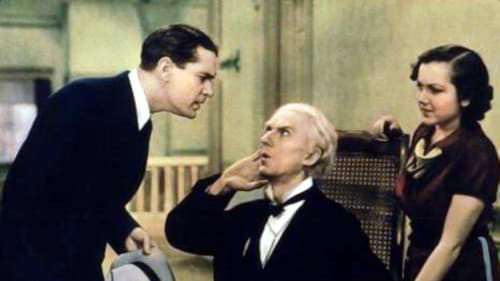 Society Fever Bild 1