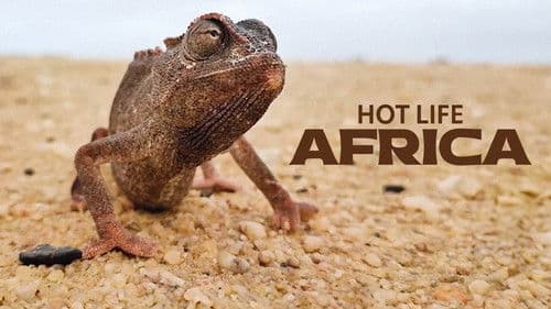 Hot Life: Africa Bild 1