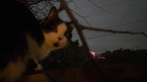 Under the Weight of a Waking Dream Bild 1