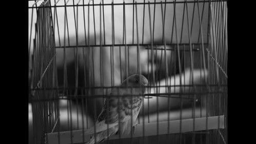 La distancia del tiempo Bild 1