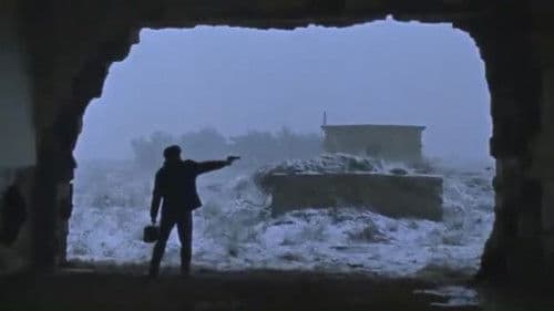 Made in Israel Bild 5