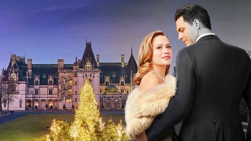 Das Weihnachtswunder von Biltmore Bild 8