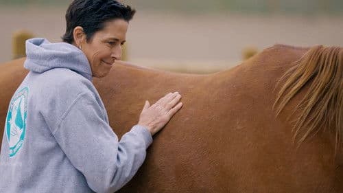 Tri Me: The Siri Lindley Story Bild 2