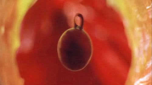 看護婦日記 獣じみた午後 Bild 3