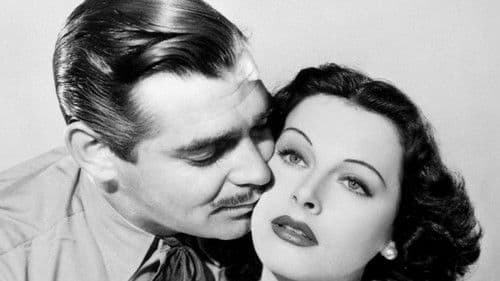 Der Draufgänger Bild 4