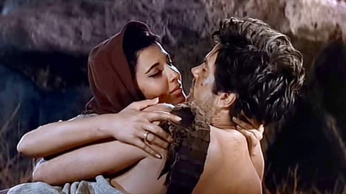 Das Buch Ruth Bild 7