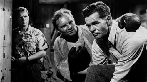 Ring frei für Stoker Thompson Bild 2