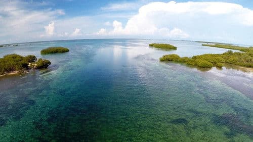 Castro's Secret Reef Bild 4