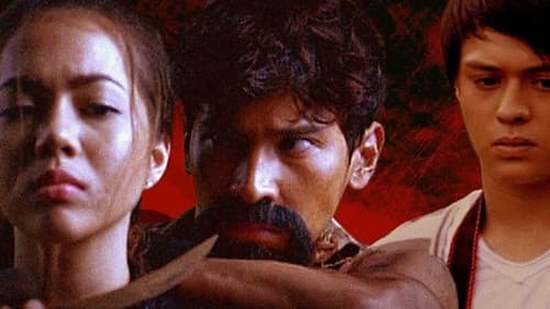 The Strangers Bild 1