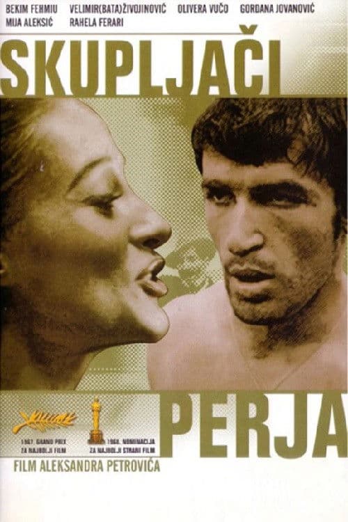 Ich traf sogar glückliche Zigeuner