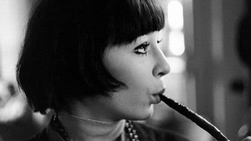 Le chat dans le sac Bild 2