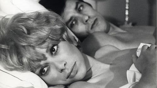 Jagd auf Jeff Bild 2