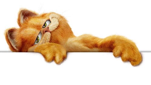 Garfield - Der Film Bild 2