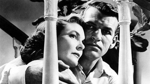 Sensation am Sonnabend Bild 5