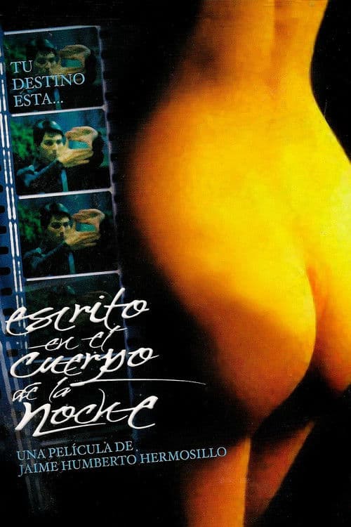 Escrito en el cuerpo de la noche