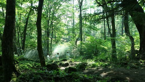 約束のネバーランド Bild 5