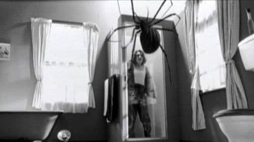 Larger than Life Bild 1