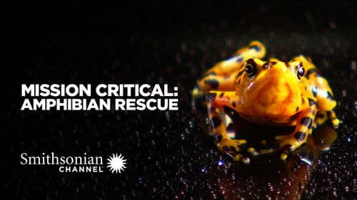 Mission Critical: Amphibian Rescue Bild 1