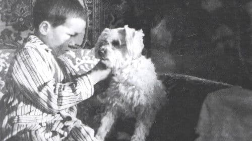 Толбот хивс Bild 1