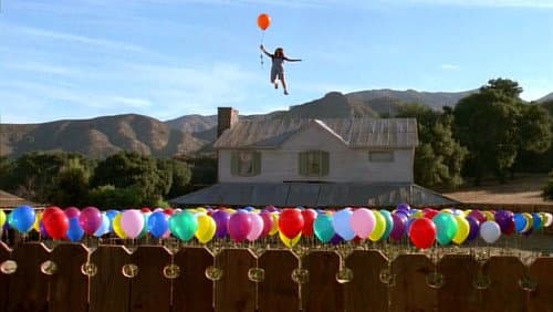 Balloon Farm Bild 6