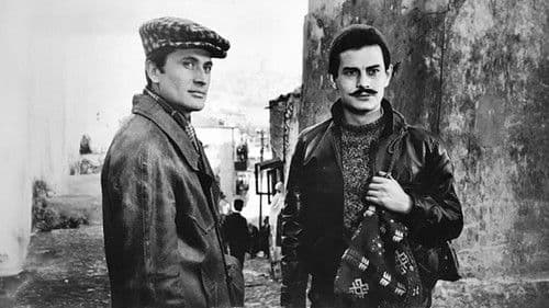 Gurbet Kuşları Bild 7