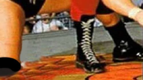 WCW Spring Stampede 1997 Bild 1