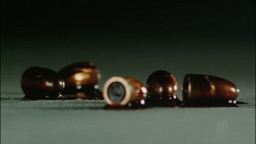 真・仮面ライダー序章 Bild 8