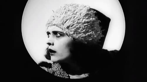 Die Bergkatze Bild 1