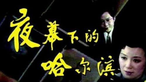 夜幕下的哈尔滨 Bild 1