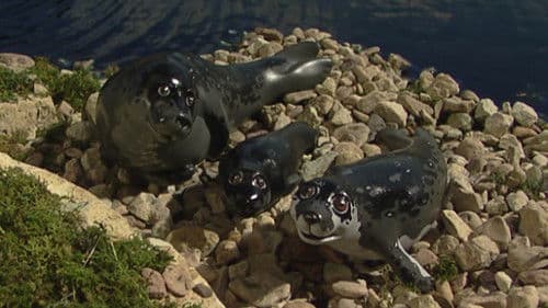 Thomas & Friends: Track Stars Bild 1