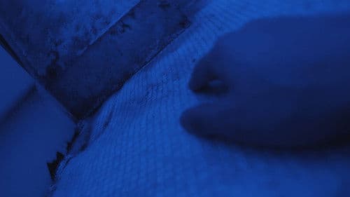 A Night to Remember Bild 1