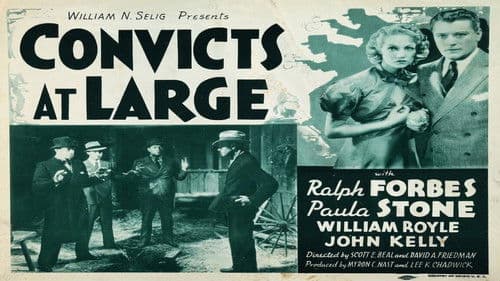 Convicts at Large Bild 1