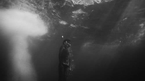 Las voces del despeñadero Bild 1