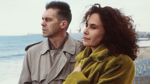 Corazón iluminado Bild 1