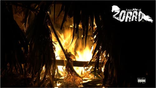 Buscando Al Zorro Bild 1