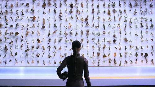 세상의 저편 Bild 1