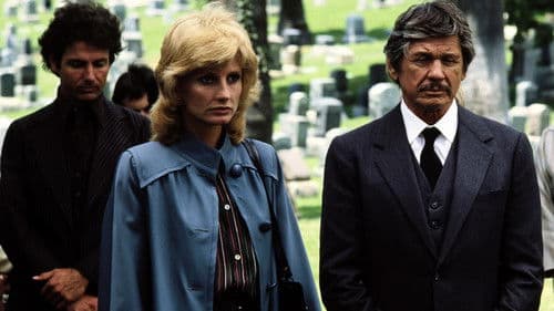 Death Wish 2 - Der Mann ohne Gnade Bild 7