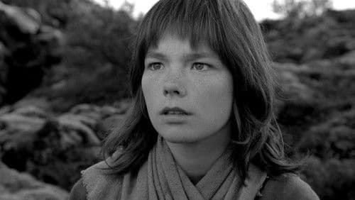 Der Wacholderbaum Bild 2