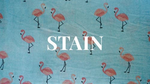 Stain Bild 2