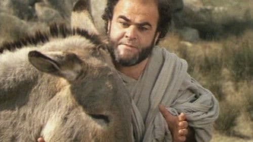 Il banchetto di Platone Bild 1