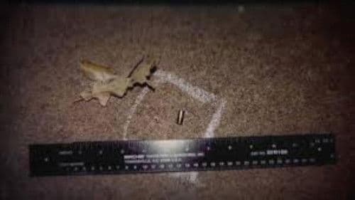 The Last Defense Bild 6