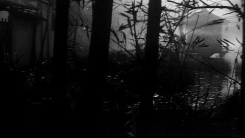 怪猫　呪いの沼 Bild 2