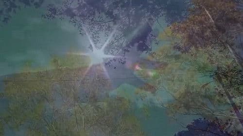 Hunting Confessions Bild 1