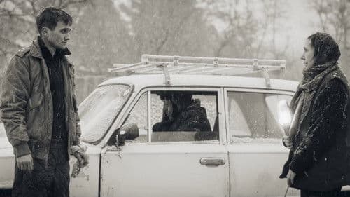 Подвійний іммельманн Bild 1