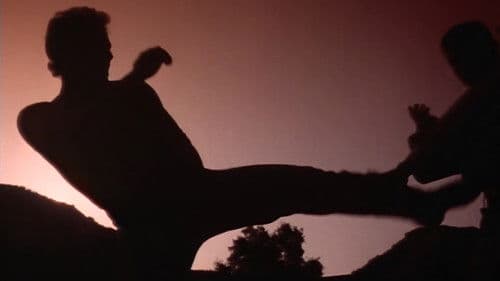 Savate - Kampf ohne Gnade Bild 1