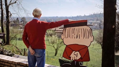 Bozzetto non troppo Bild 1