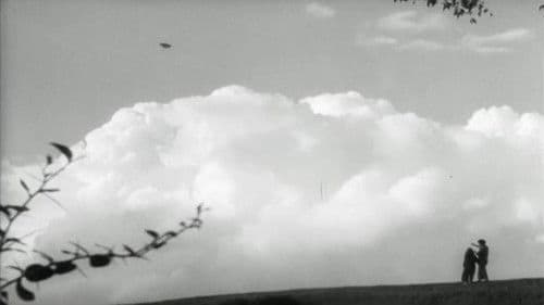 Con chim vành khuyên Bild 1