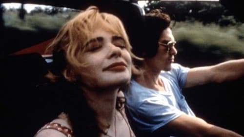 Auf der Strecke geblieben Bild 3