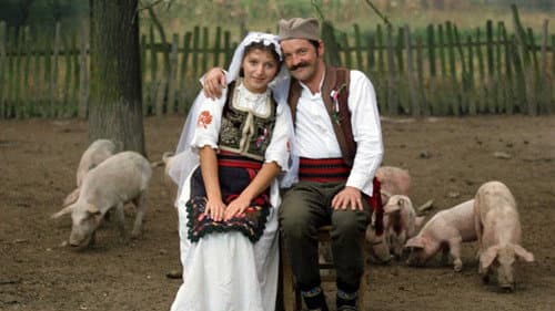 Petrijin venac Bild 1