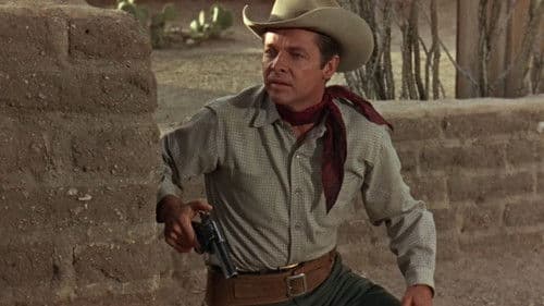 Goldtransport durch Arizona Bild 6